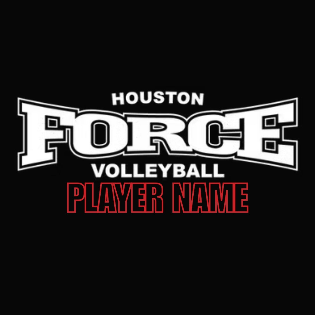 Houston Force Car Decal